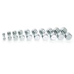 Hantel Gymstick Pro Chrome Dumbbell